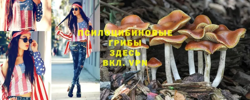 hydra ССЫЛКА  Оханск  Псилоцибиновые грибы Cubensis 